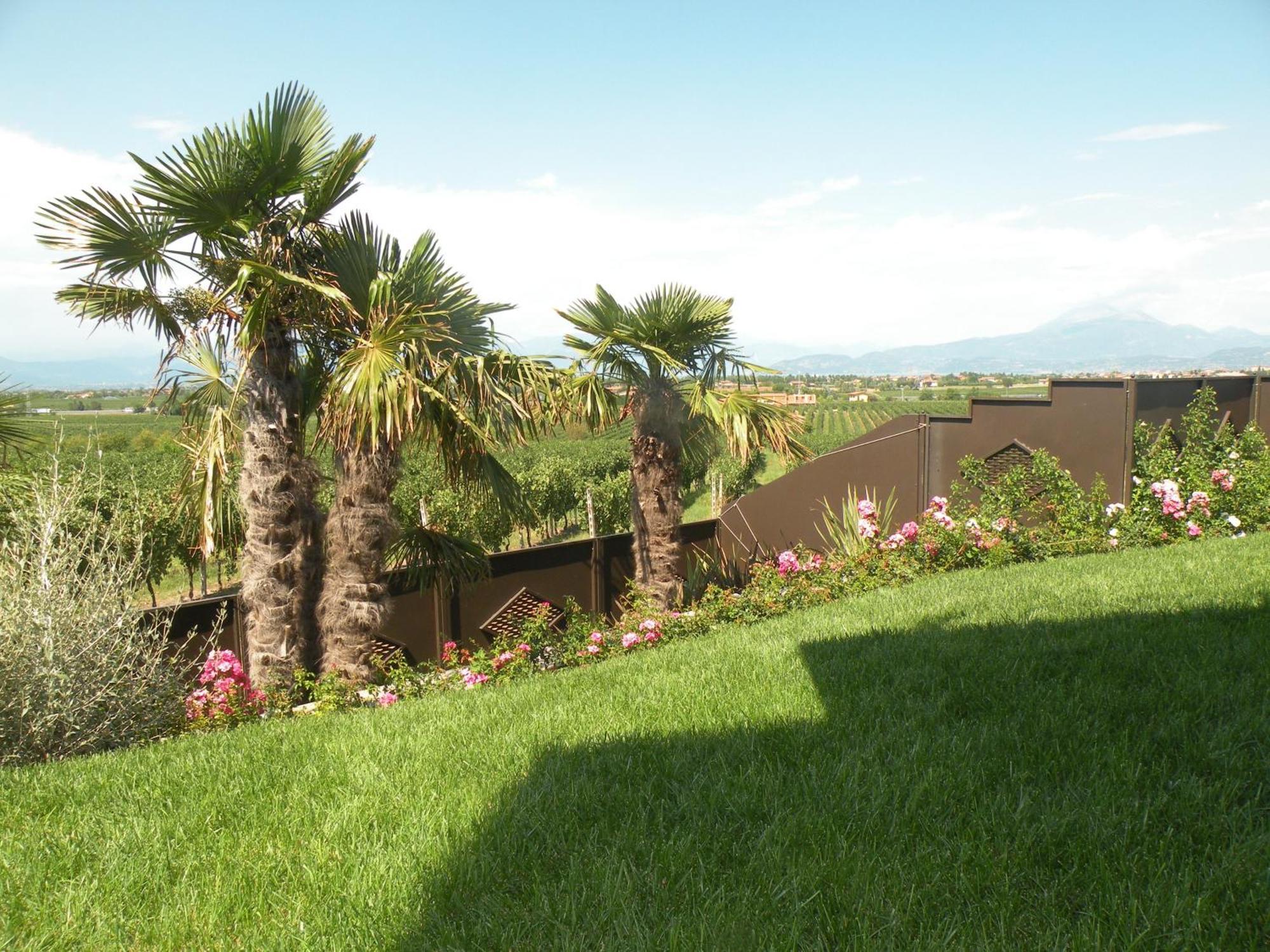 Sweet Life Bed & Breakfast Peschiera del Garda Eksteriør bilde